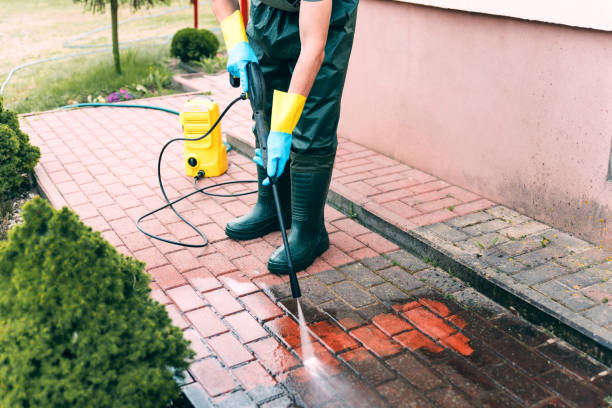 Best Dumpster Area Cleaning  in Lake Mathews, CA